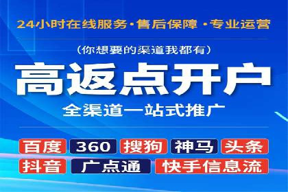 百度竞价排名服务：实战案例解析与优化技巧
